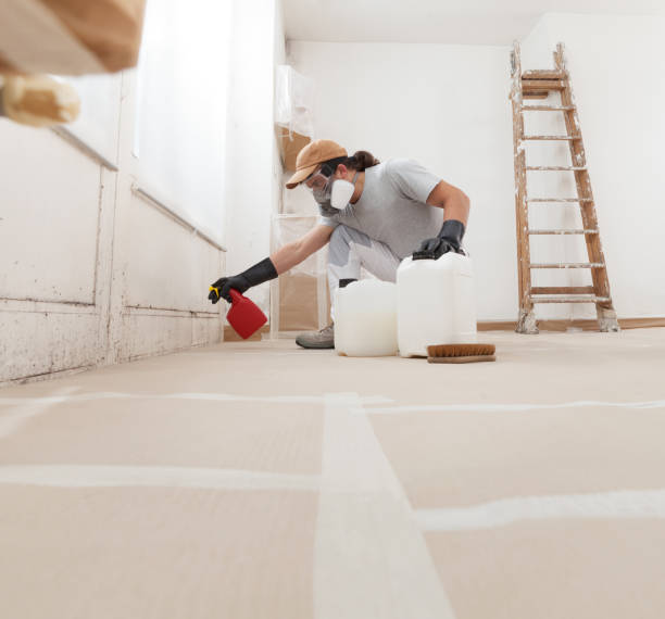 Professional Mold Removal in Bedford Hills, NY